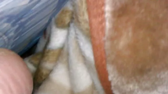 Rubia cachonda se anime latino porno folla a su novio