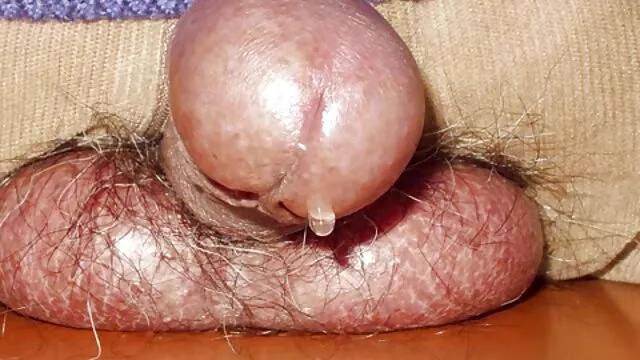 Aficionado graso obtiene cine porno latino blowbanged